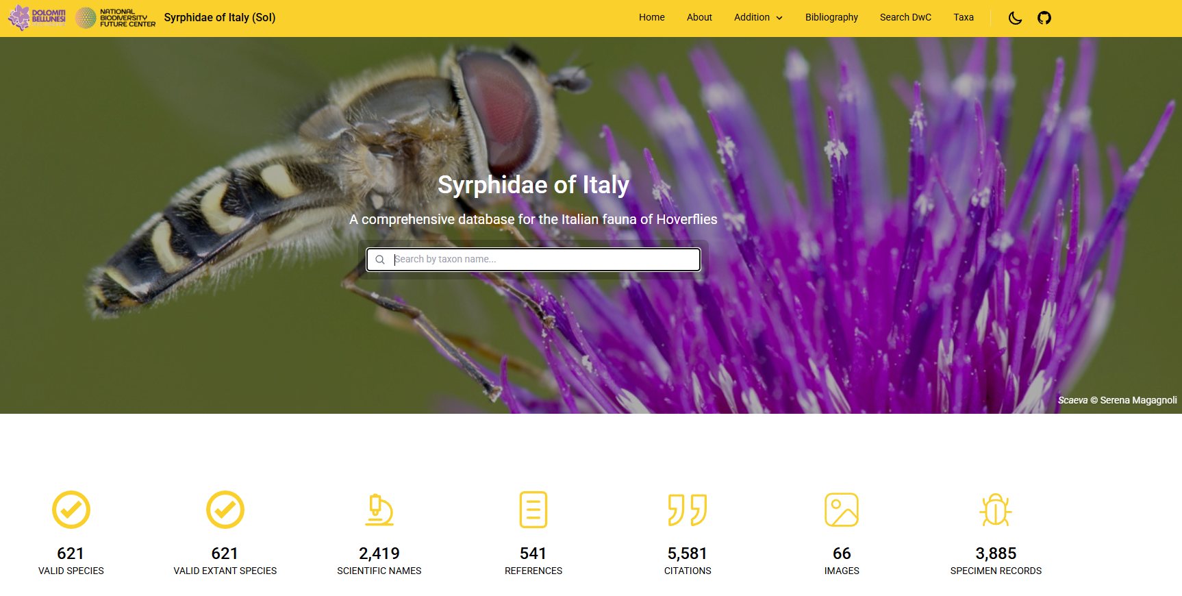 Syrphidae of Italy